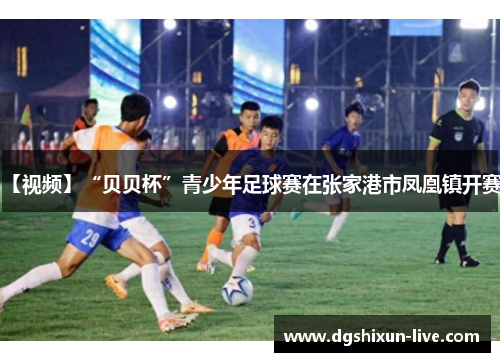 【视频】“贝贝杯”青少年足球赛在张家港市凤凰镇开赛！